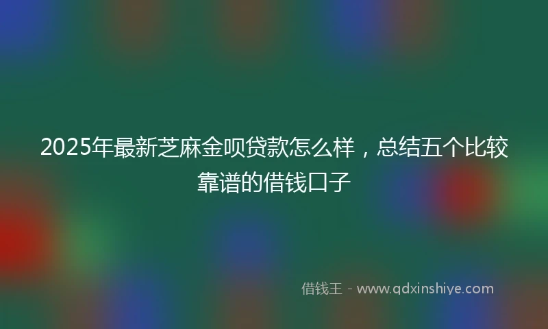 2025年最新芝麻金呗贷款怎么样，总结五个比较靠谱的借钱口子