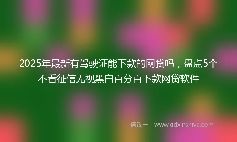 2025年最新有驾驶证能下款的网贷吗,盘点5个不看征信无视黑白百分百下款网贷软件