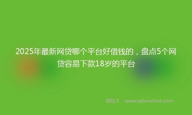 2025年最新网贷哪个平台好借钱的，盘点5个网贷容易下款18岁的平台
