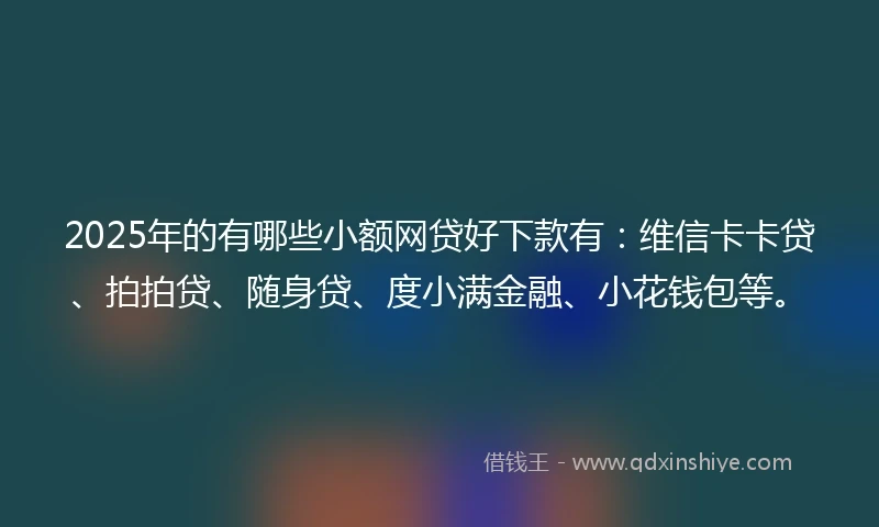 2025年的有哪些小额网贷好下款有：维信卡卡贷、拍拍贷、随身贷、度小满金融、小花钱包等。