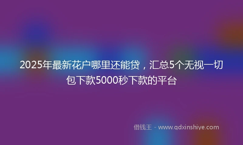 2025年最新花户哪里还能贷，汇总5个无视一切包下款5000秒下款的平台
