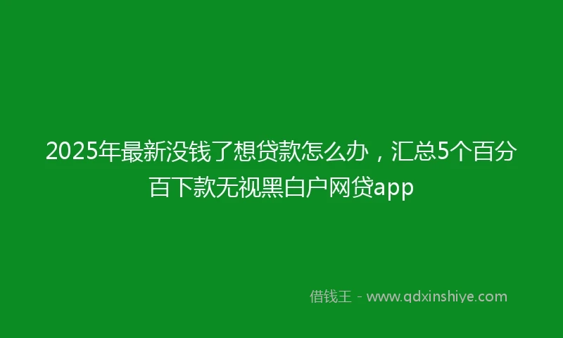 2025年最新没钱了想贷款怎么办，汇总5个百分百下款无视黑白户网贷app