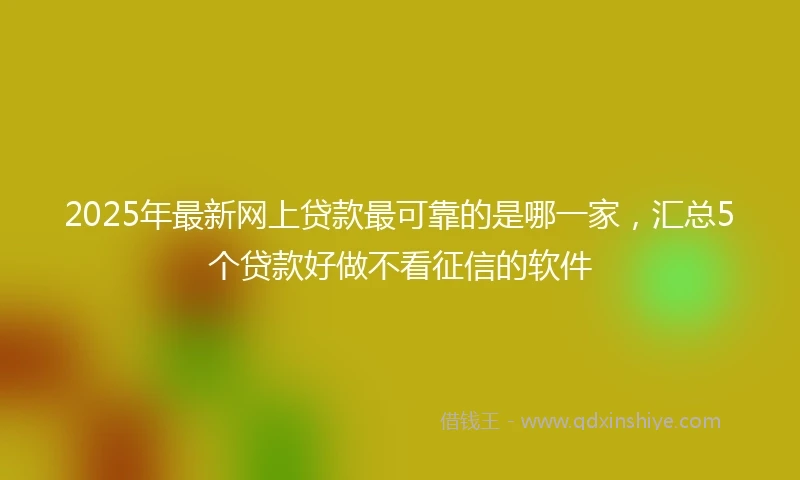2025年最新网上贷款最可靠的是哪一家，汇总5个贷款好做不看征信的软件