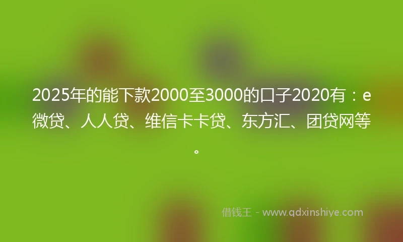 2025年的能下款2000至3000的口子2020有：e微贷、人人贷、维信卡卡贷、东方汇、团贷网等。