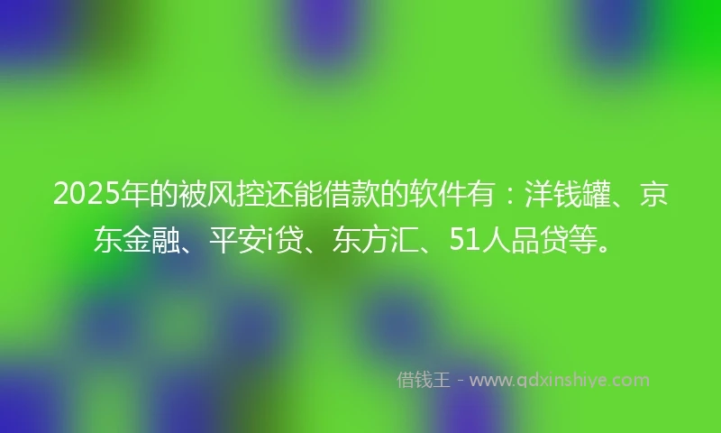2025年的被风控还能借款的软件有：洋钱罐、京东金融、平安i贷、东方汇、51人品贷等。