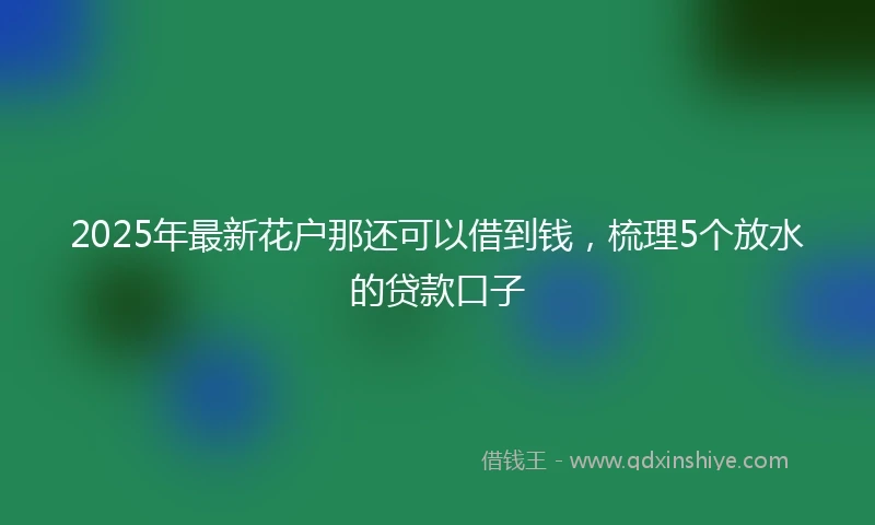 2025年最新花户那还可以借到钱,梳理5个放水的贷款口子