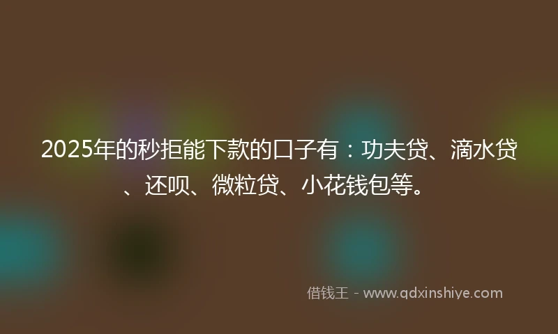 2025年的秒拒能下款的口子有：功夫贷、滴水贷、还呗、微粒贷、小花钱包等。