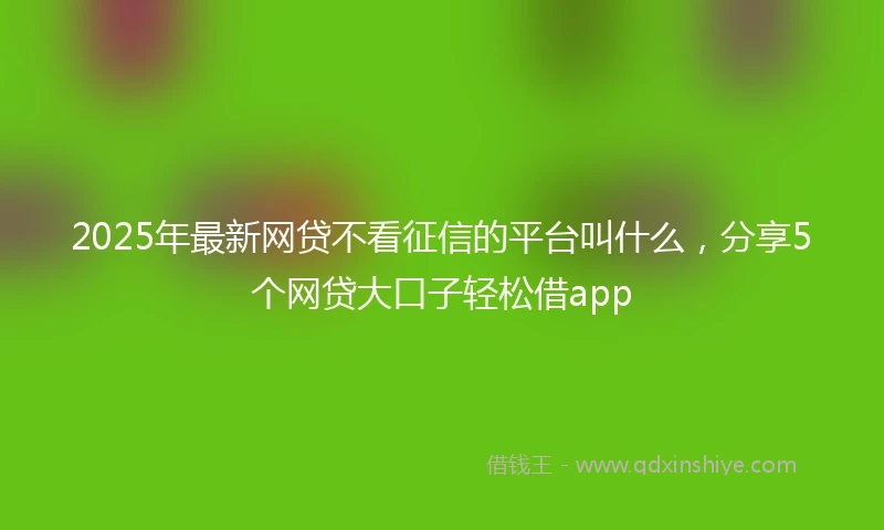 2025年最新网贷不看征信的平台叫什么，分享5个网贷大口子轻松借app