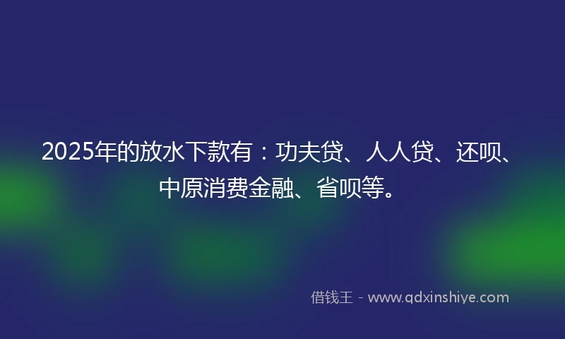 2025年的放水下款有：功夫贷、人人贷、还呗、中原消费金融、省呗等。