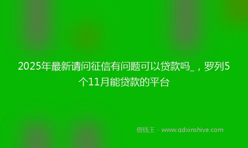 2025年最新请问征信有问题可以贷款吗_，罗列5个11月能贷款的平台