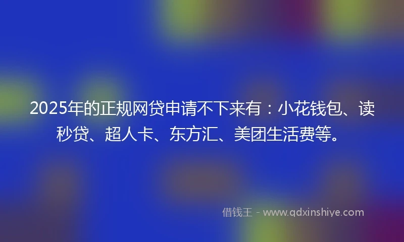 2025年的正规网贷申请不下来有：小花钱包、读秒贷、超人卡、东方汇、美团生活费等。