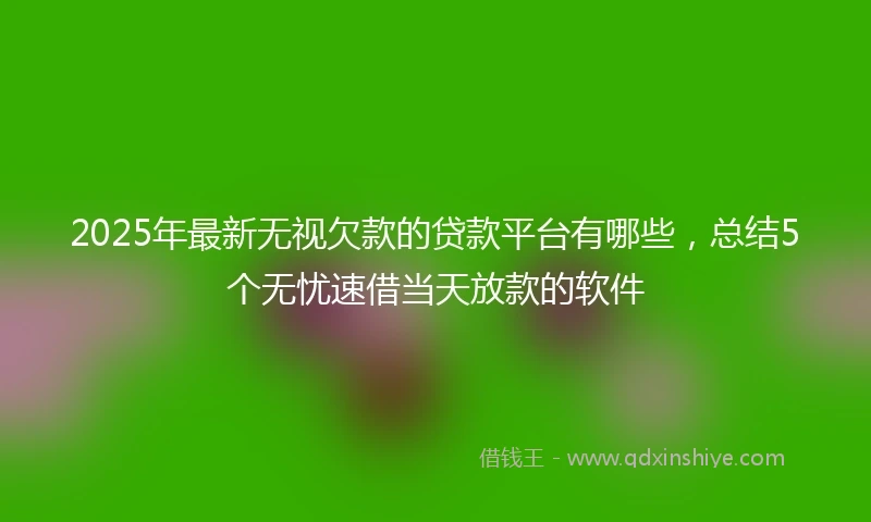 2025年最新无视欠款的贷款平台有哪些，总结5个无忧速借当天放款的软件