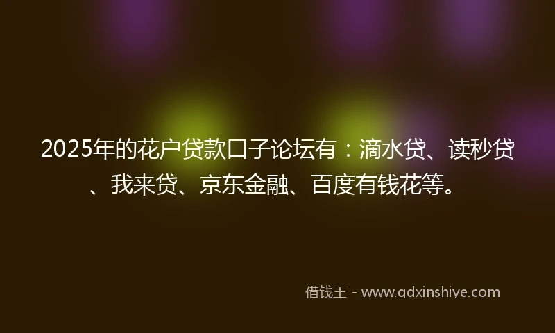 2025年的花户贷款口子论坛有：滴水贷、读秒贷、我来贷、京东金融、百度有钱花等。