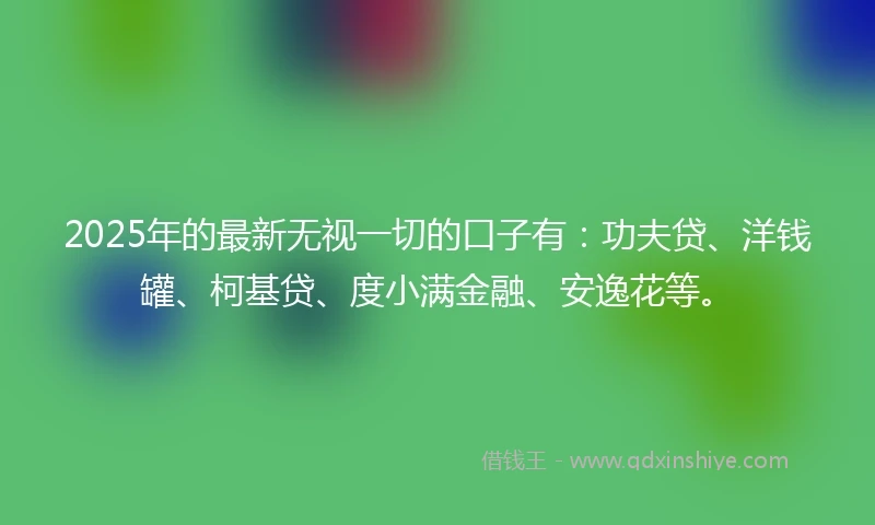 2025年的最新无视一切的口子有：功夫贷、洋钱罐、柯基贷、度小满金融、安逸花等。
