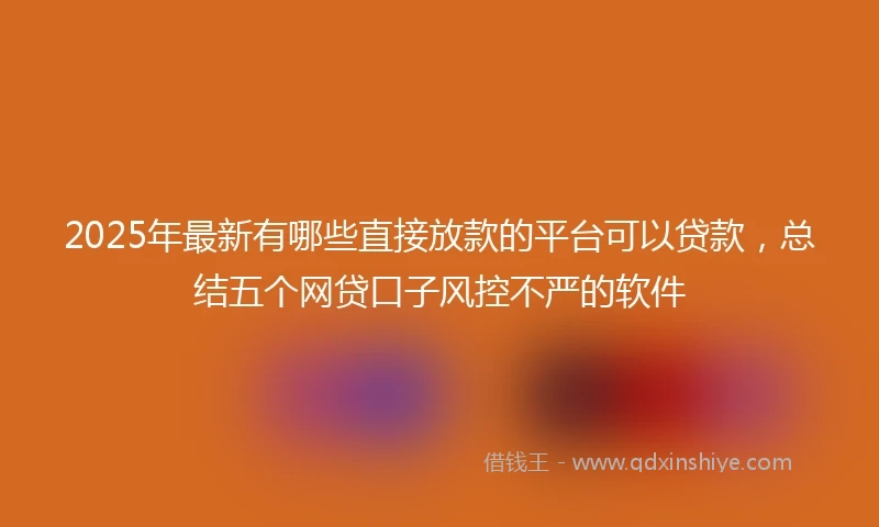 2025年最新有哪些直接放款的平台可以贷款，总结五个网贷口子风控不严的软件