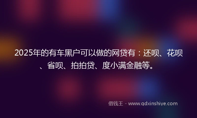 2025年的有车黑户可以做的网贷有：还呗、花呗、省呗、拍拍贷、度小满金融等。