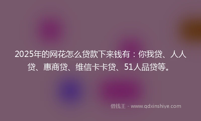 2025年的网花怎么贷款下来钱有：你我贷、人人贷、惠商贷、维信卡卡贷、51人品贷等。