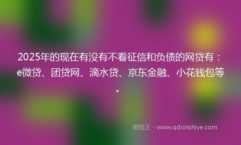 2025年的现在有没有不看征信和负债的网贷有：e微贷、团贷网、滴水贷、京东金融、小花钱包等。