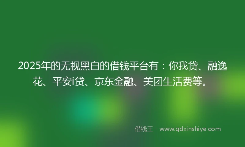 2025年的无视黑白的借钱平台有：你我贷、融逸花、平安i贷、京东金融、美团生活费等。