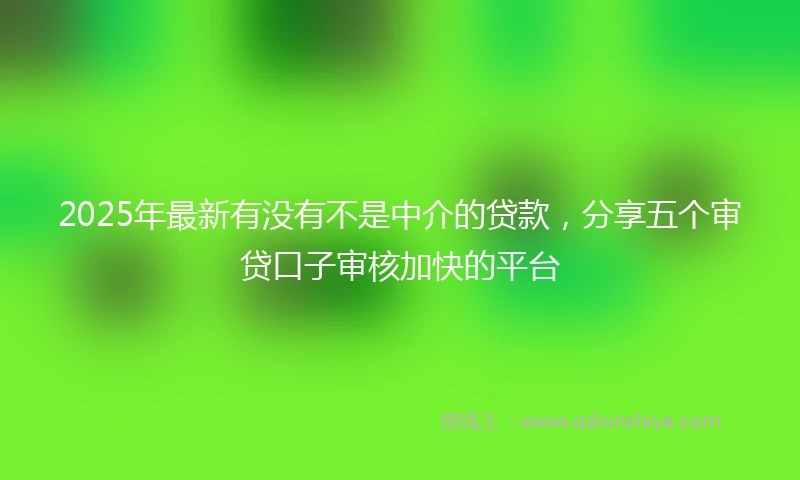 2025年最新有没有不是中介的贷款，分享五个审贷口子审核加快的平台