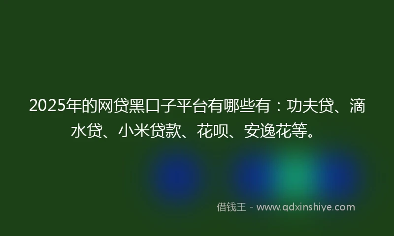 2025年的网贷黑口子平台有哪些有：功夫贷、滴水贷、小米贷款、花呗、安逸花等。