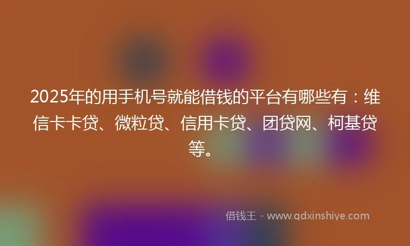 2025年的用手机号就能借钱的平台有哪些有：维信卡卡贷、微粒贷、信用卡贷、团贷网、柯基贷等。