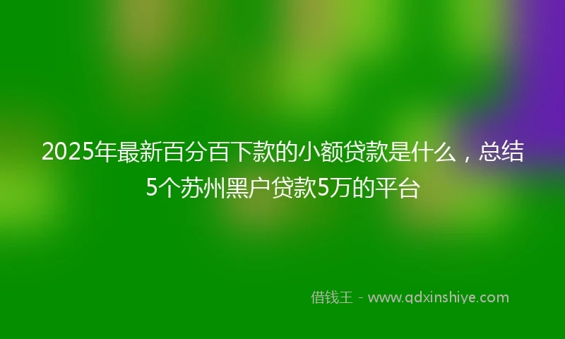 2025年最新百分百下款的小额贷款是什么，总结5个苏州黑户贷款5万的平台