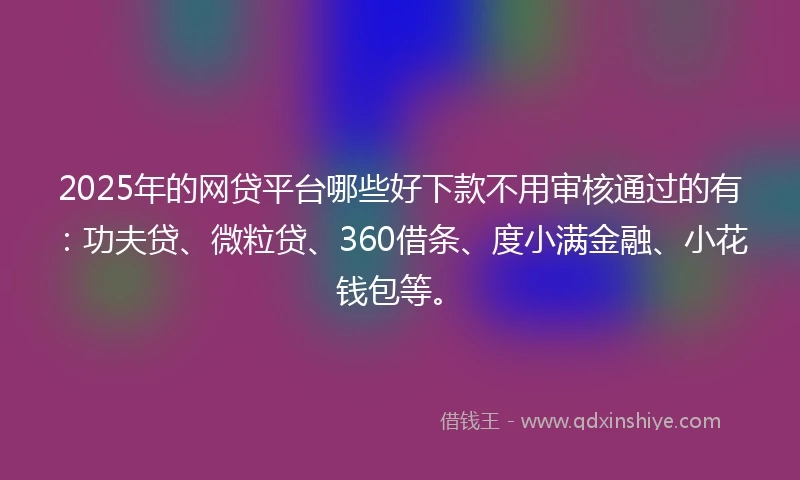 2025年的网贷平台哪些好下款不用审核通过的有:功夫贷、微粒贷、360借条、度小满金融、小花钱包等。