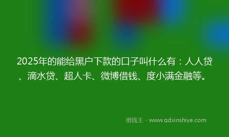 2025年的能给黑户下款的口子叫什么有：人人贷、滴水贷、超人卡、微博借钱、度小满金融等。