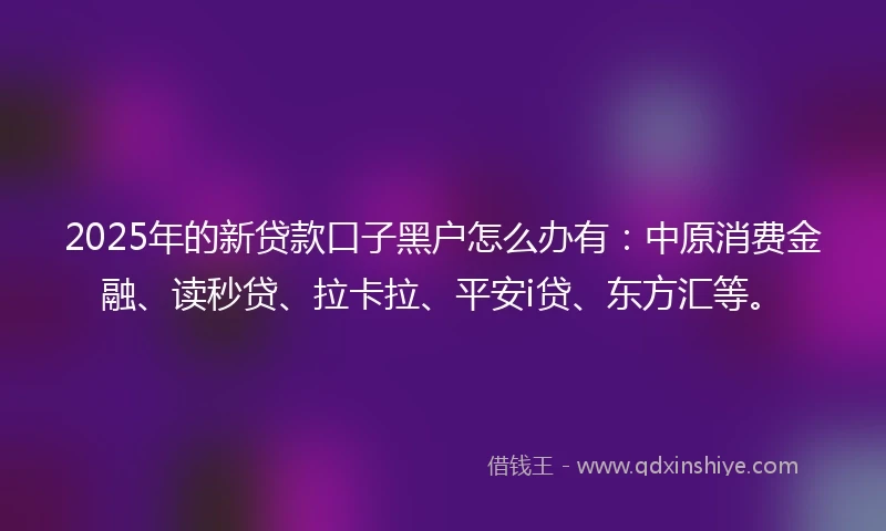 2025年的新贷款口子黑户怎么办有：中原消费金融、读秒贷、拉卡拉、平安i贷、东方汇等。