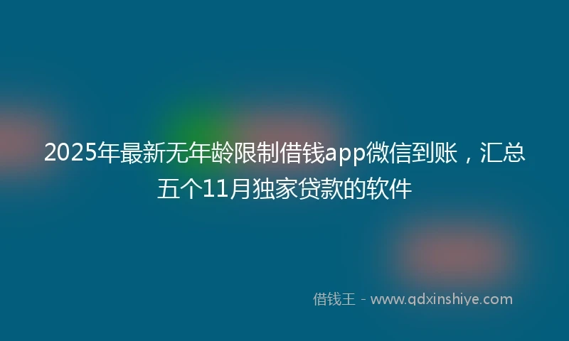 2025年最新无年龄限制借钱app微信到账，汇总五个11月独家贷款的软件