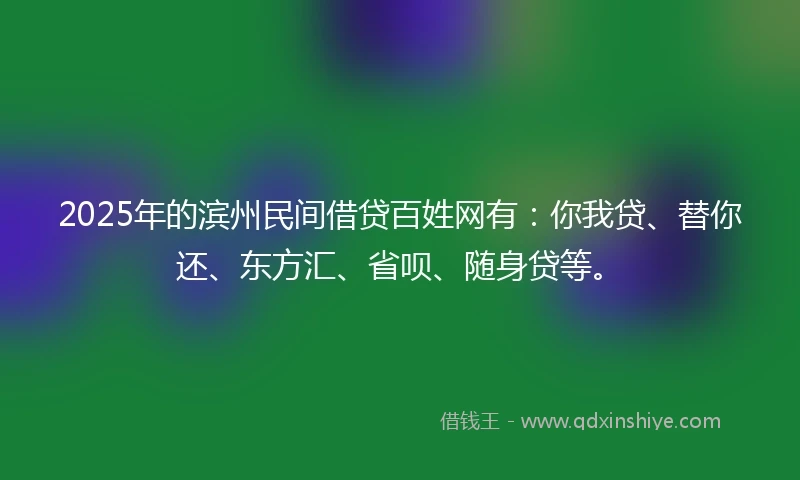 2025年的滨州民间借贷百姓网有：你我贷、替你还、东方汇、省呗、随身贷等。