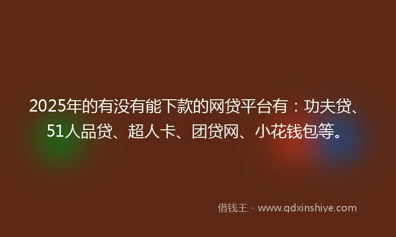 2025年的有没有能下款的网贷平台有：功夫贷、51人品贷、超人卡、团贷网、小花钱包等。