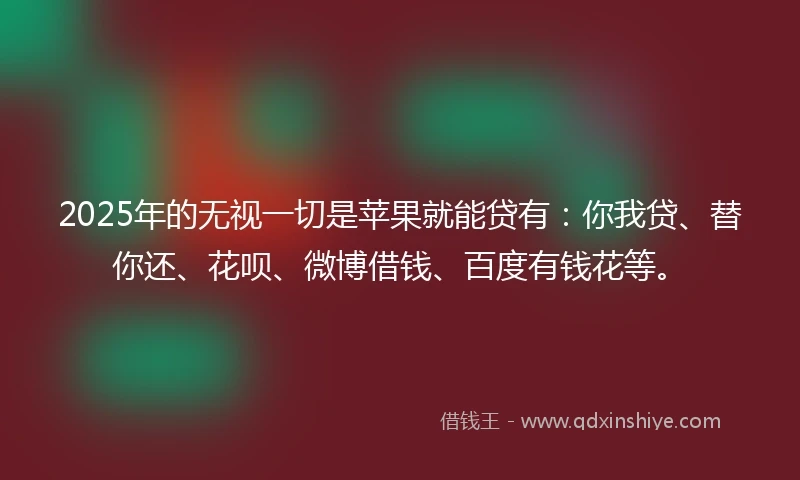 2025年的无视一切是苹果就能贷有：你我贷、替你还、花呗、微博借钱、百度有钱花等。