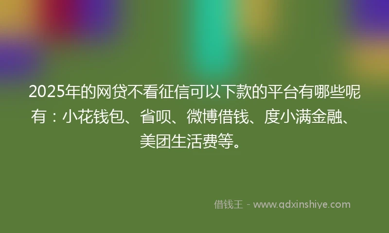 2025年的网贷不看征信可以下款的平台有哪些呢有：小花钱包、省呗、微博借钱、度小满金融、美团生活费等。
