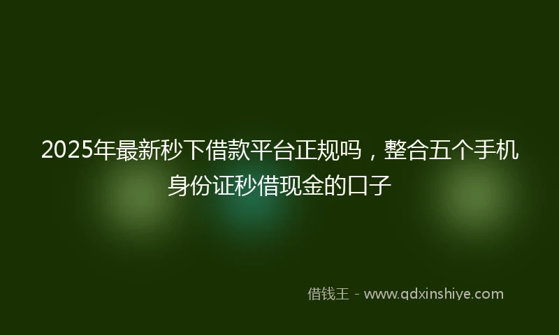 2025年最新秒下借款平台正规吗，整合五个手机身份证秒借现金的口子