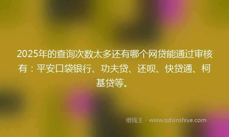 2025年的查询次数太多还有哪个网贷能通过审核有：平安口袋银行、功夫贷、还呗、快贷通、柯基贷等。