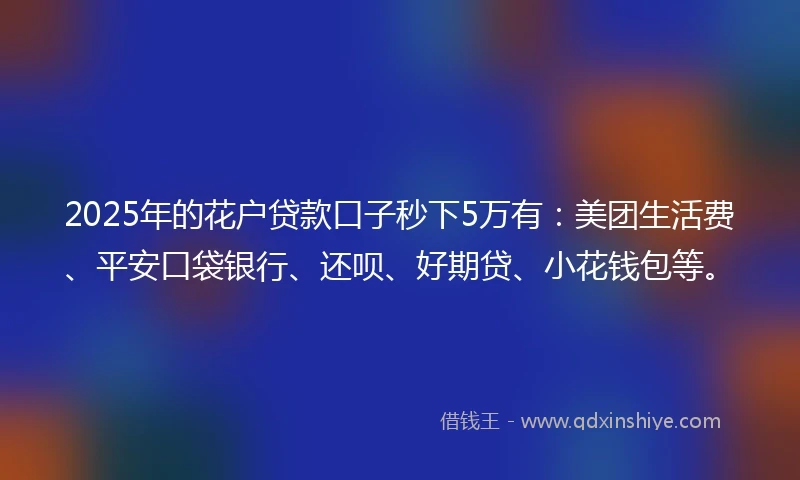 2025年的花户贷款口子秒下5万有：美团生活费、平安口袋银行、还呗、好期贷、小花钱包等。