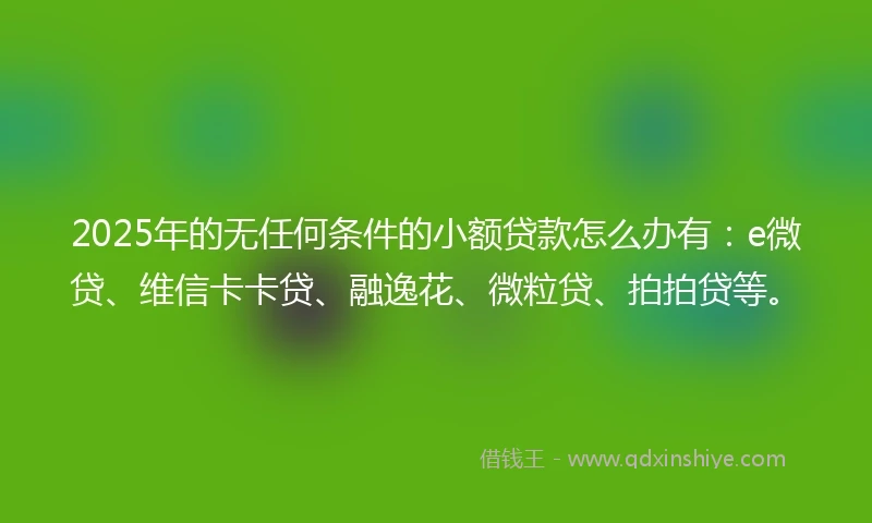 2025年的无任何条件的小额贷款怎么办有：e微贷、维信卡卡贷、融逸花、微粒贷、拍拍贷等。