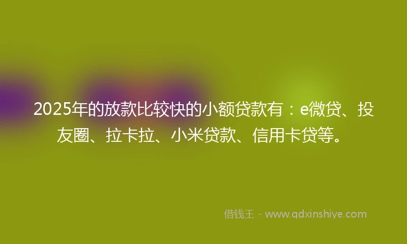 2025年的放款比较快的小额贷款有：e微贷、投友圈、拉卡拉、小米贷款、信用卡贷等。