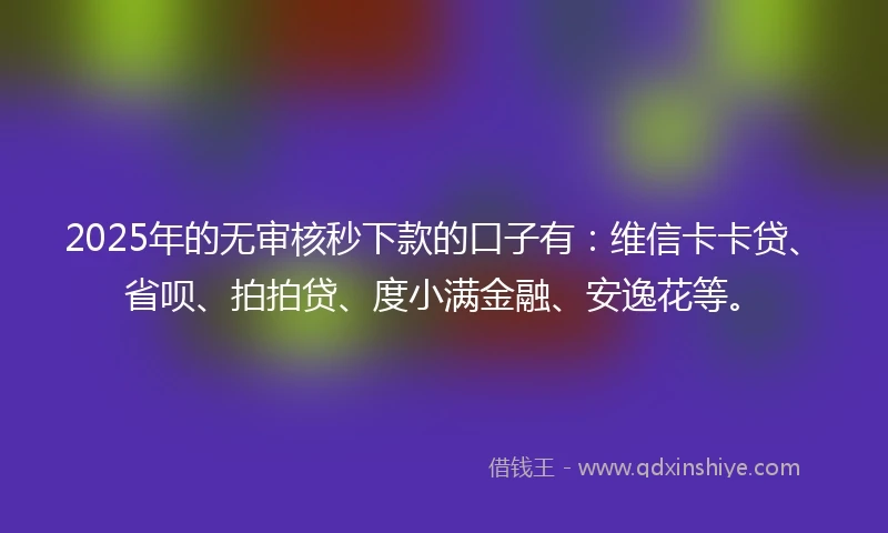 2025年的无审核秒下款的口子有：维信卡卡贷、省呗、拍拍贷、度小满金融、安逸花等。