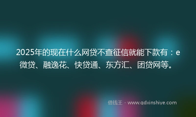 2025年的现在什么网贷不查征信就能下款有：e微贷、融逸花、快贷通、东方汇、团贷网等。