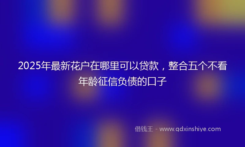 2025年最新花户在哪里可以贷款，整合五个不看年龄征信负债的口子
