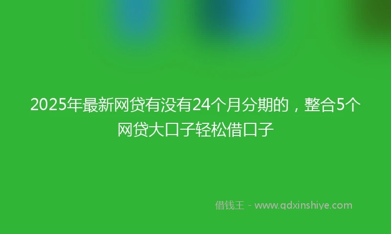 2025年最新网贷有没有24个月分期的，整合5个网贷大口子轻松借口子