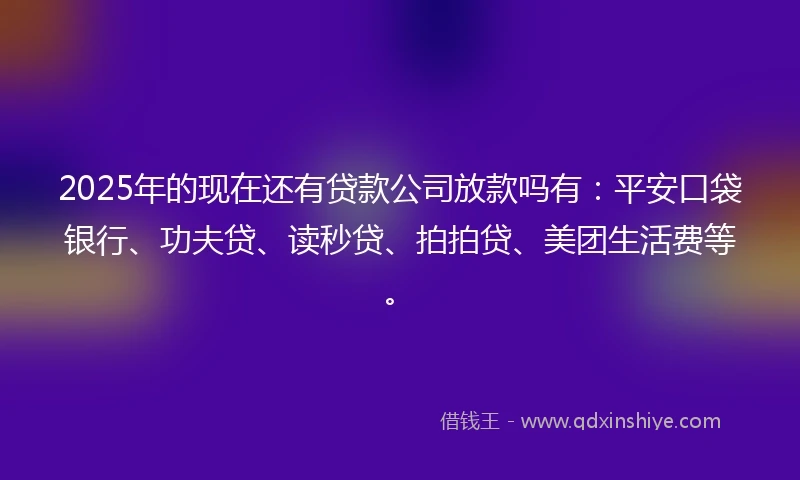 2025年的现在还有贷款公司放款吗有：平安口袋银行、功夫贷、读秒贷、拍拍贷、美团生活费等。