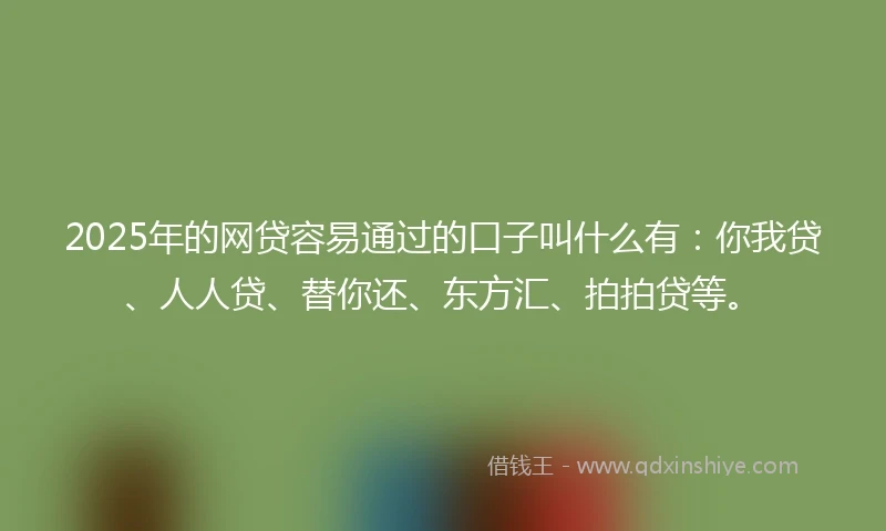 2025年的网贷容易通过的口子叫什么有：你我贷、人人贷、替你还、东方汇、拍拍贷等。