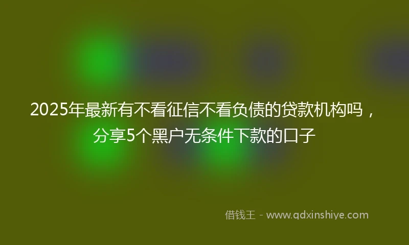 2025年最新有不看征信不看负债的贷款机构吗，分享5个黑户无条件下款的口子
