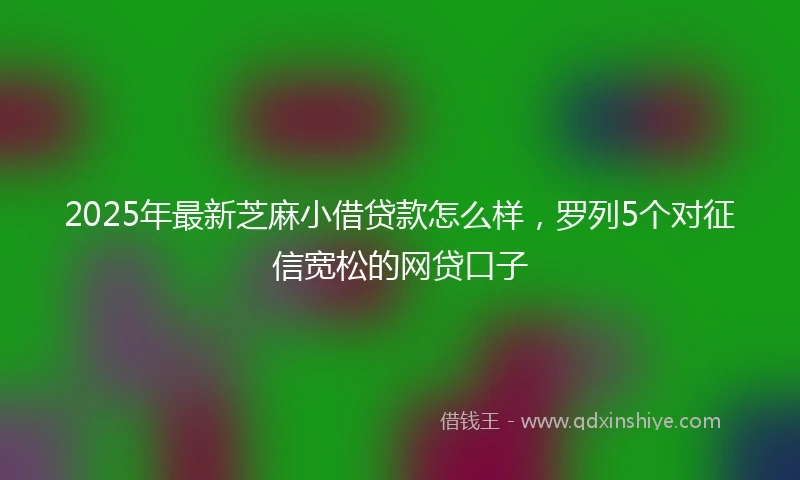 2025年最新芝麻小借贷款怎么样，罗列5个对征信宽松的网贷口子