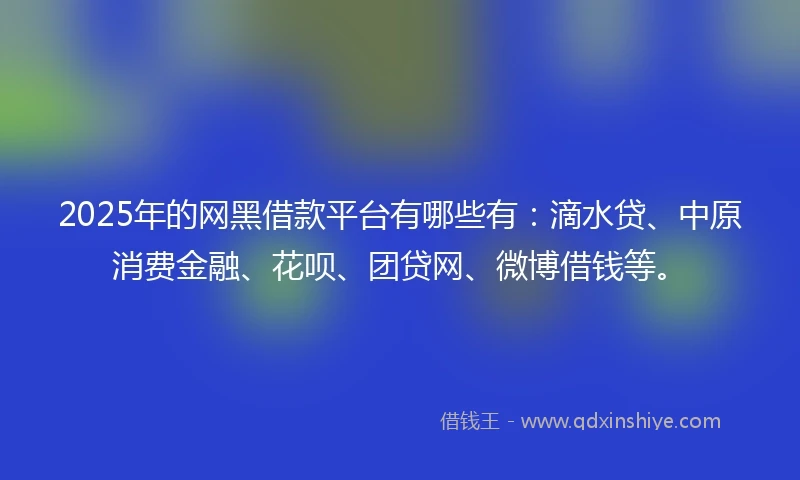 2025年的网黑借款平台有哪些有：滴水贷、中原消费金融、花呗、团贷网、微博借钱等。