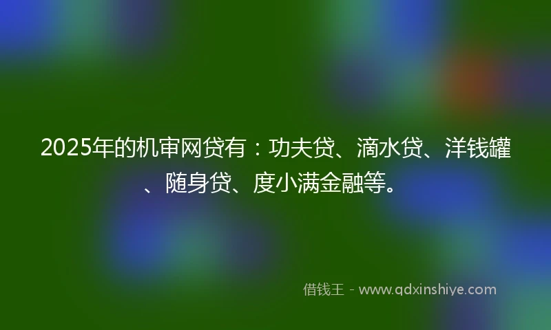 2025年的机审网贷有：功夫贷、滴水贷、洋钱罐、随身贷、度小满金融等。